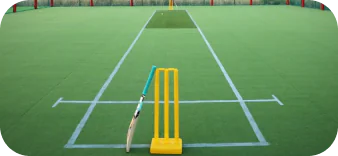 Cricket-turf